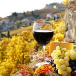Master in Comunicazione dell'alimentazione sostenibile e della Dieta Mediterranea_Food&Wine, immagini di repertorio_3-2